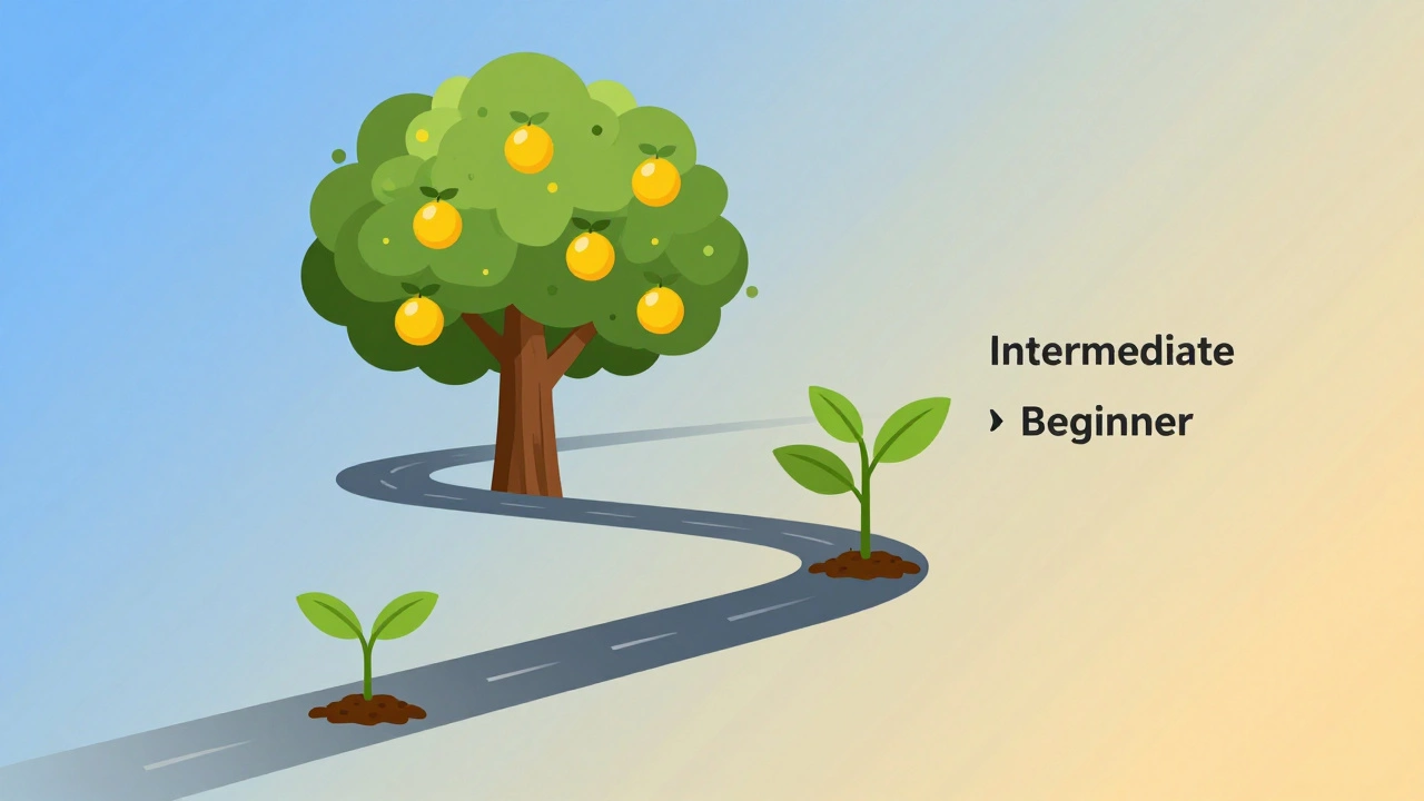 Illustration showing blogger growth stages from seedling to large tree with golden fruits.